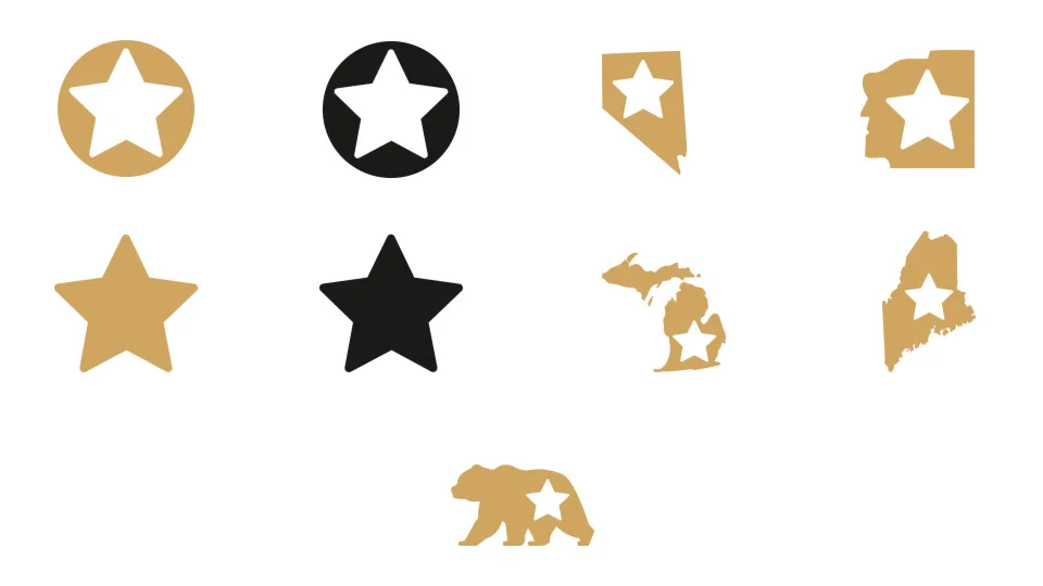 Representaci&oacute;n de los s&iacute;mbolos REAL ID: Estrella en un c&iacute;rculo dorado, estrella en un c&iacute;rculo negro, estrella en la silueta del estado de Nevada, estrella en la silueta de New Hampshire, estrella dorada, estrella negra, estrella en la silueta del estado de Michigan, estrella en la silueta del estado de Maine y estrella en el contorno de un oso dorado.