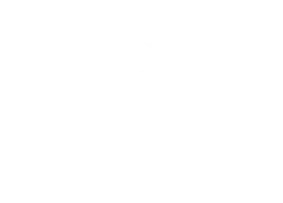 Ilustraci&oacute;n de una impresi&oacute;n de sello con el texto "NUEVA VERSI&Oacute;N".